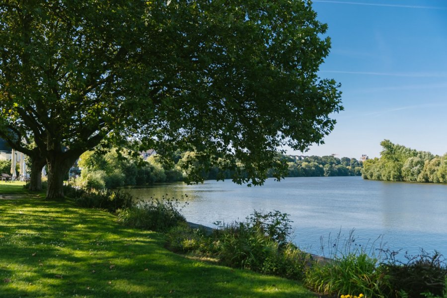 Ihr Notar für Kelsterbach | Notariat für Kelsterbach & Kelsterbacher | Schnelle & rechtssichere Abwicklung Ihrer Notarurkunde | Notar im Bezirk Kelsterbach | Kelsterbach ist mit ca. 17.000 Einwohnern die zweitgrößte Stadt in meinem Notarbezirk, der neben Kelsterbach auch Rüsselsheim und Raunheim umfasst. Durch die Nähe zum Flughafen und der zentralen Lage ist Kelsterbach ein attraktiver Standort für viele Unternehmen, vor allem im Logistikbereich. Dies ist insbesondere aufgrund des Mönchhofgelände der Fall, dem Gewerbepark der Städte Kelsterbach und Raunheim. Markante Stellen in Kelsterbach sind unter anderen die Neubarocke katholische Herz-Jesu-Kirche, das Kelsterbacher Mainufer und die Mainuferpromenade in Kelsterbach sowie der Südpark in Kelsterbach.
